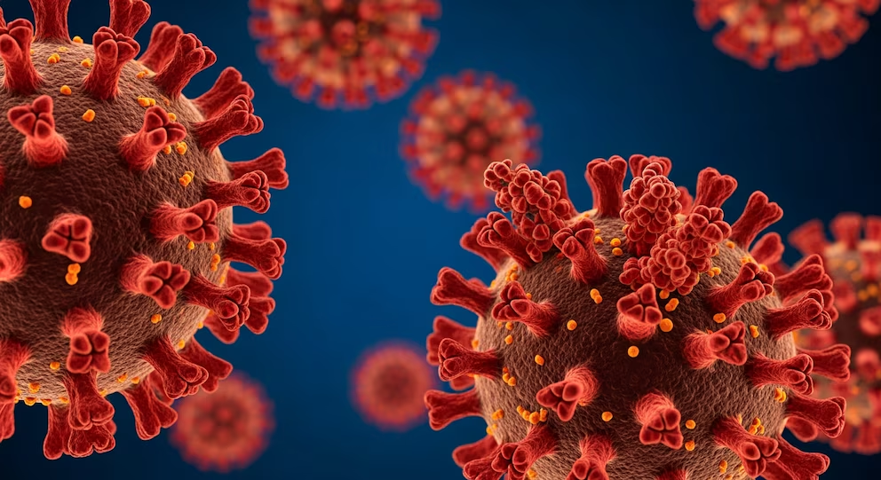 Argentina confirmó los primeros casos de la variante BA.3.2 del virus del COVID: qué dijeron las autoridades sobre su riesgo